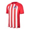 Oficiální Fotbalový Dres Atlético Madrid Domácí 2023-24 pro Muži